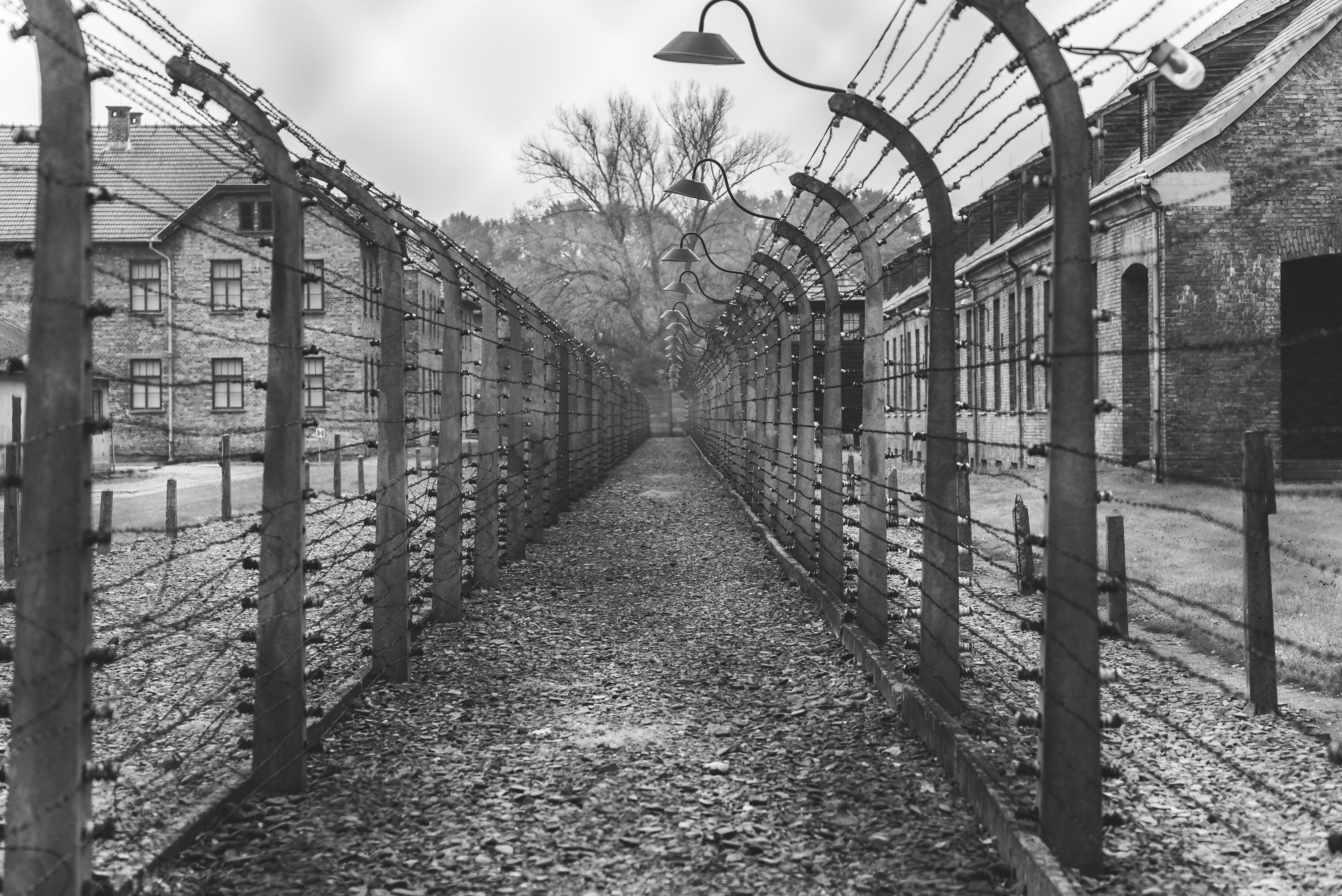 A black and white image of a marching path at Auschwitz. 