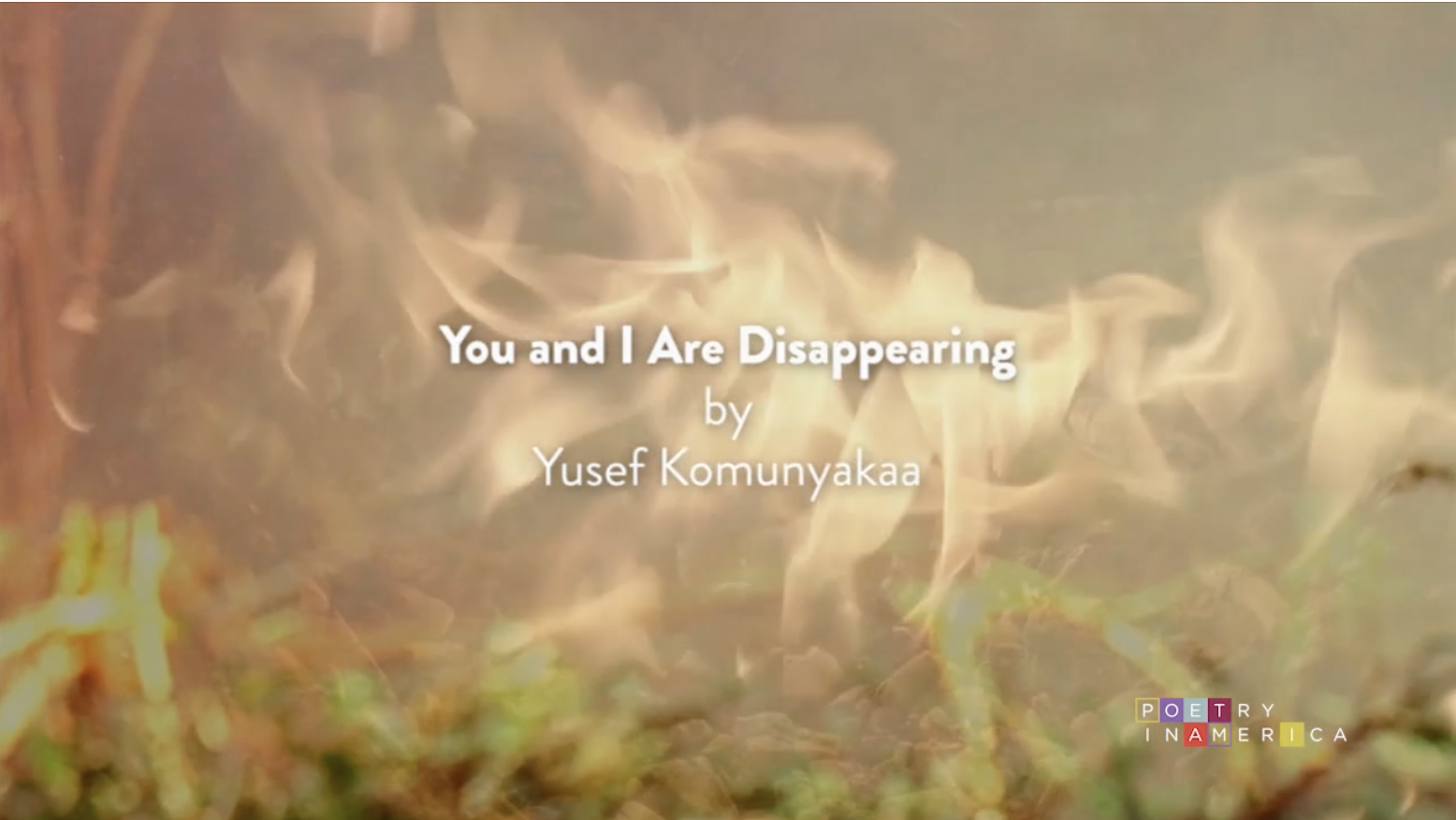 "'You and I Are Disappearing' by Yusef Komunyakaa," with fire in the background.